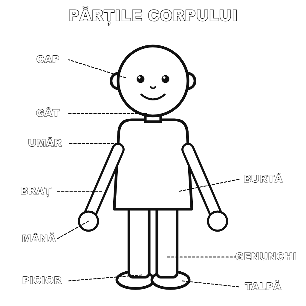Părțile corpului omenesc