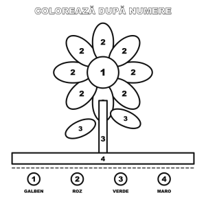 Colorează după numere: Floare