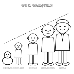 Cum creștem: de la bebeluș la adult