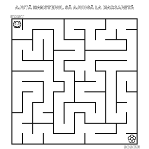 Labirint: Hamsterul și margareta