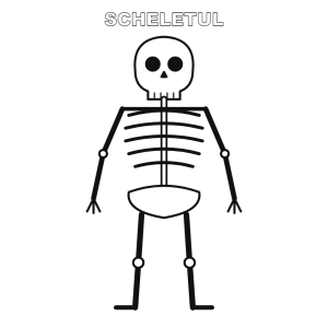 Scheletul vesel