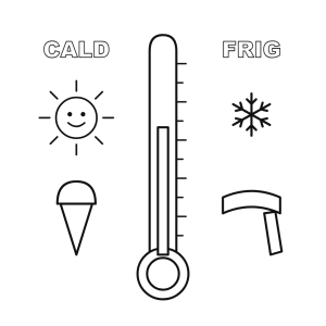 Termometrul: cald și frig